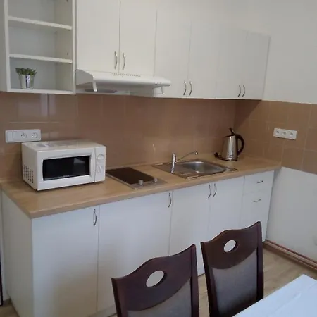 Διαμέρισμα U Dubu *